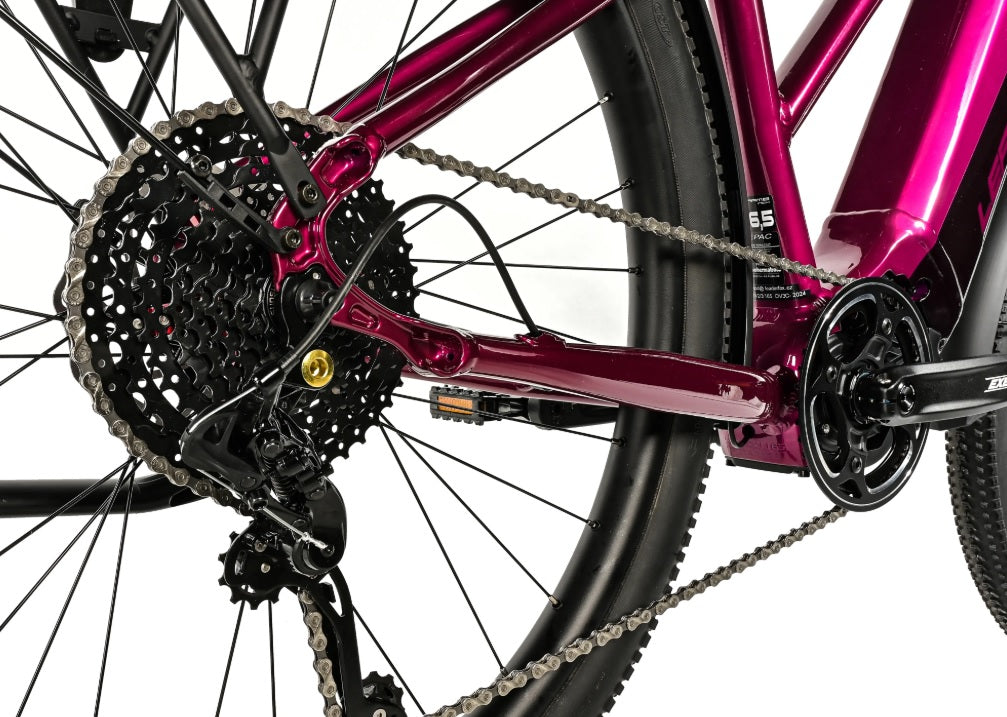 Leader Fox E-Barnet Lady