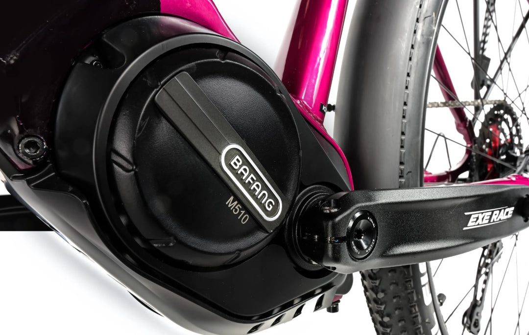 Leader Fox E-Barnet Lady