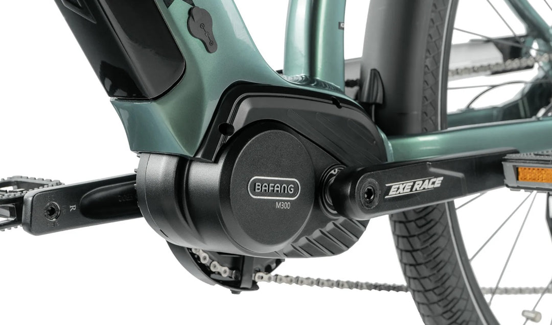 Leader Fox E-Denver Gent