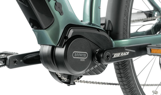 Leader Fox E-Denver Gent