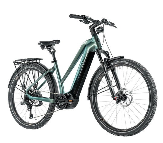 Leader Fox E-Dixon Lady