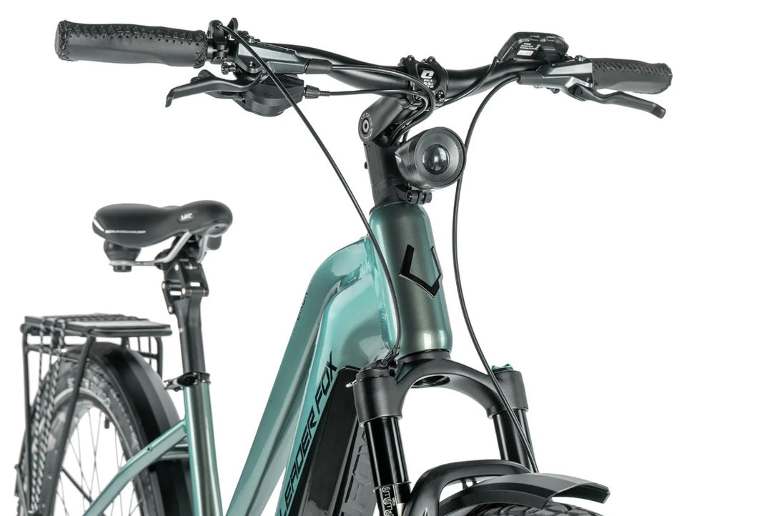 Leader Fox E-Dixon Lady