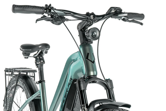 Leader Fox E-Dixon Lady