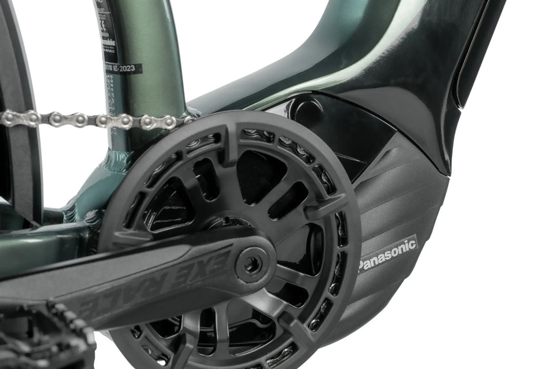 Leader Fox E-Dixon Lady