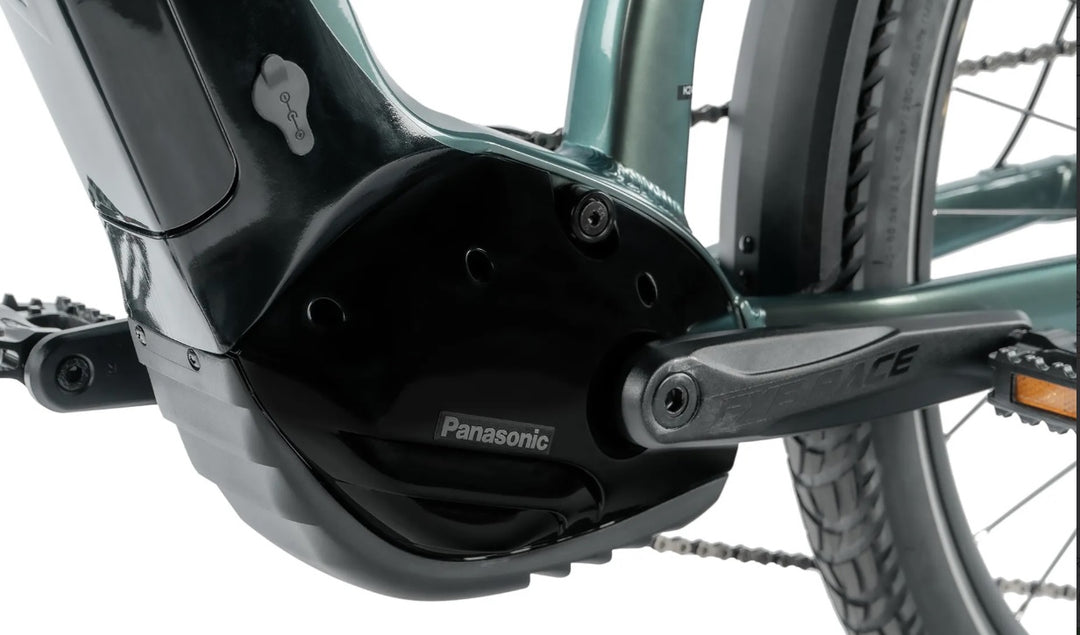 Leader Fox E-Dixon Lady