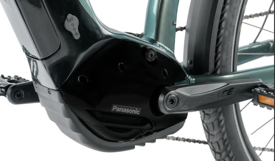 Leader Fox E-Dixon Lady