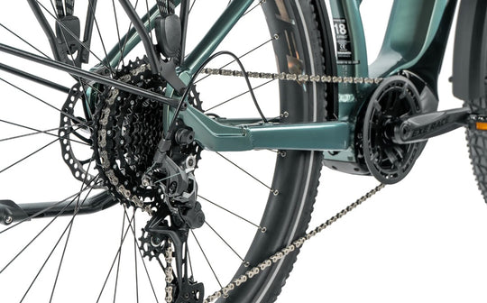 Leader Fox E-Dixon Lady