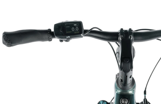 Leader Fox E-Dixon Lady