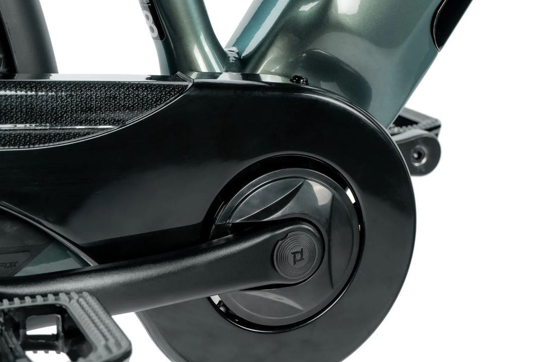 Leader Fox E-Sandy Lady