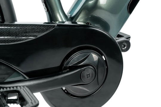 Leader Fox E-Sandy Lady