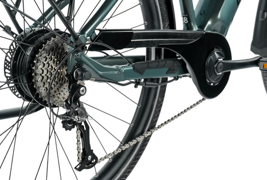 Leader Fox E-Sandy Lady