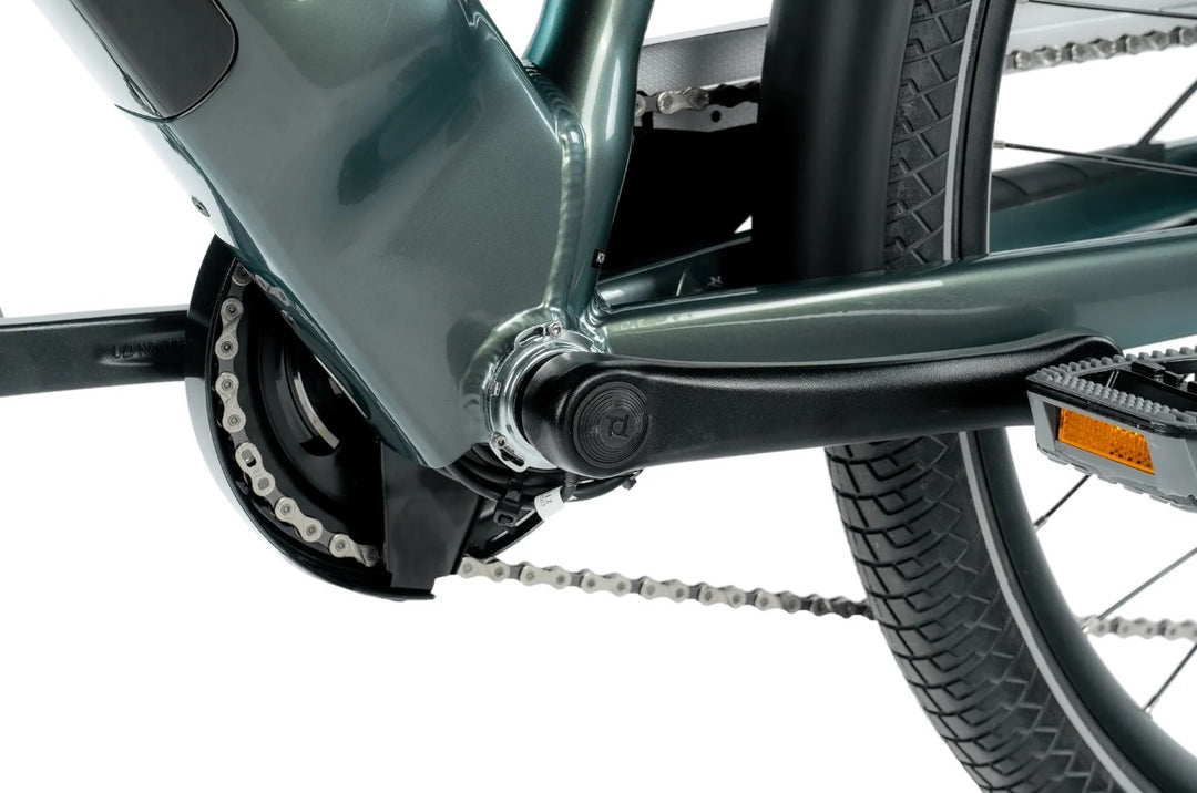 Leader Fox E-Sandy Lady