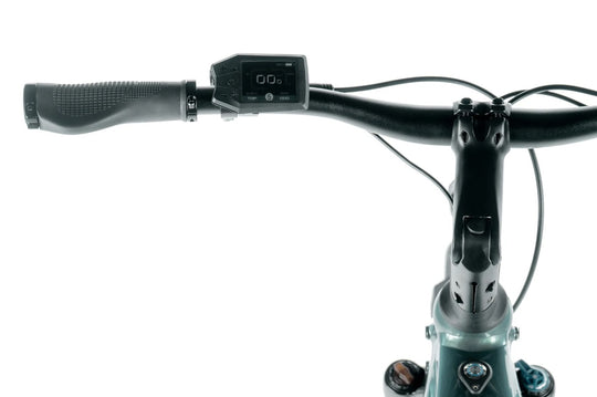 Leader Fox E-Sandy Lady