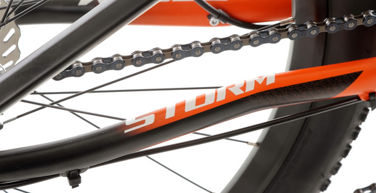 Storm Racer 24" 2D Rower Dziecięcy
